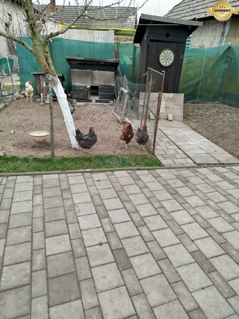 1c530362-b62d-42fd-adbc-d56b70e4f2d0.jfif