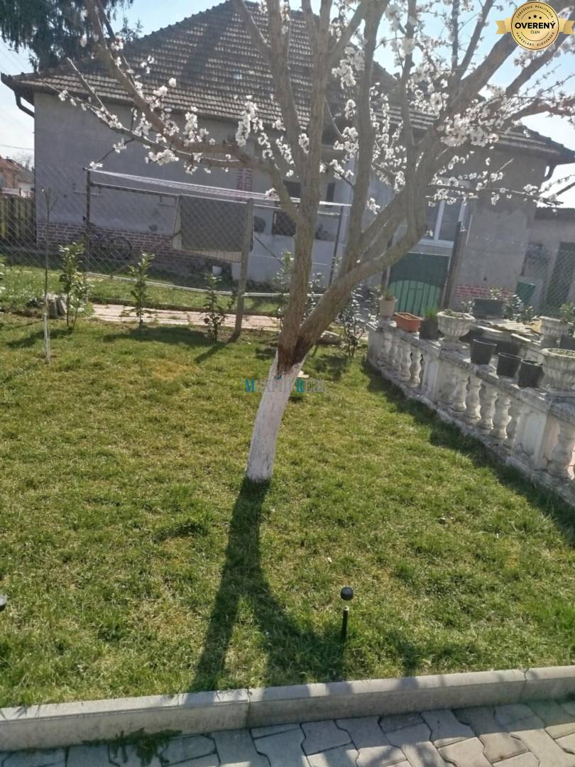 a922a742-9172-4808-b87c-2c6978413f2f.jfif